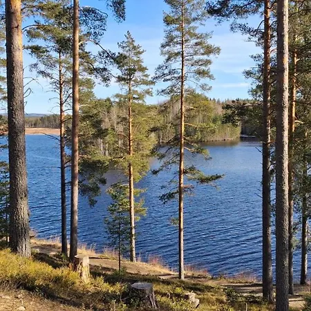 Bagari, Niemenkartano