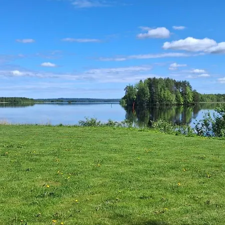 Bagari, Niemenkartano Kontiolahti
