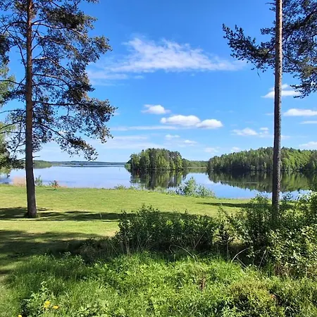 Bagari, Niemenkartano Kontiolahti