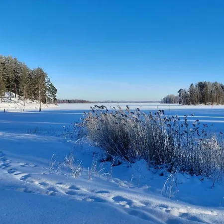 Διαμέρισμα Bagari, Niemenkartano *