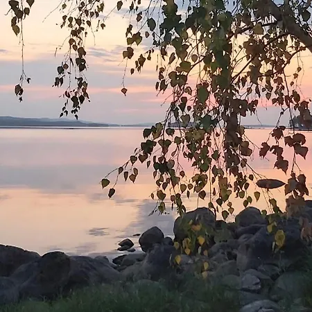 Bagari, Niemenkartano Kontiolahti