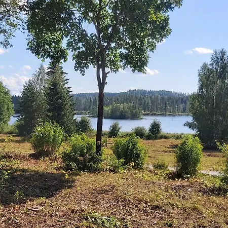 Bagari, Niemenkartano Kontiolahti