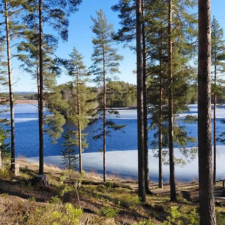 Bagari, Niemenkartano