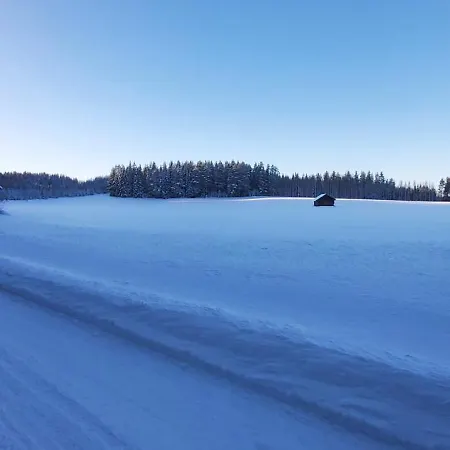 Bagari, Niemenkartano *