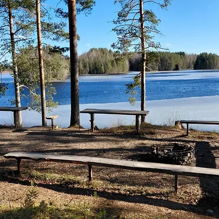 Bagari, Niemenkartano